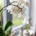 Charmantes Feriendomizil In Apartment Medebach