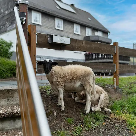 Appartement Charmantes Feriendomizil In Medebach