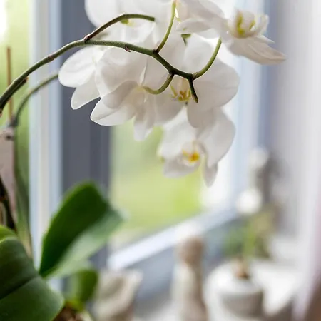 Charmantes Feriendomizil In Apartmán Medebach