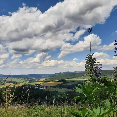 Charmantes Feriendomizil In Medebach