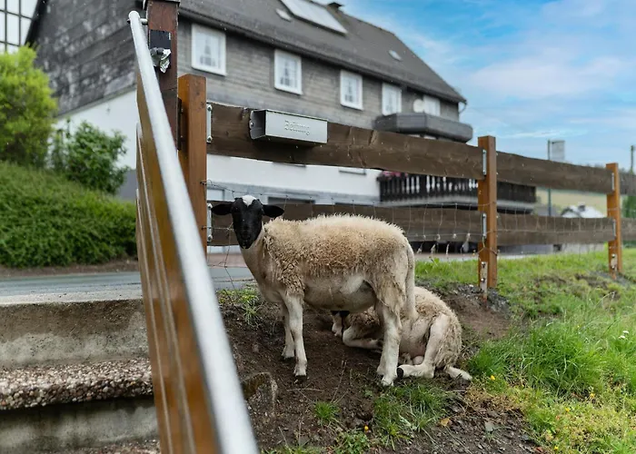 Appartement Charmantes Feriendomizil In Medebach