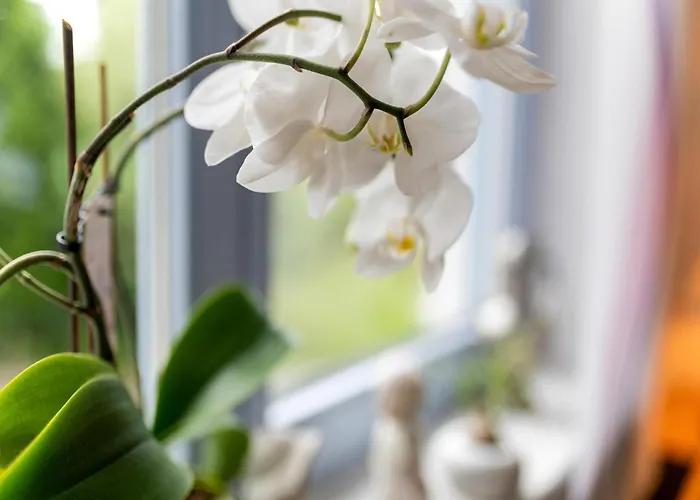 Charmantes Feriendomizil In Appartement Medebach