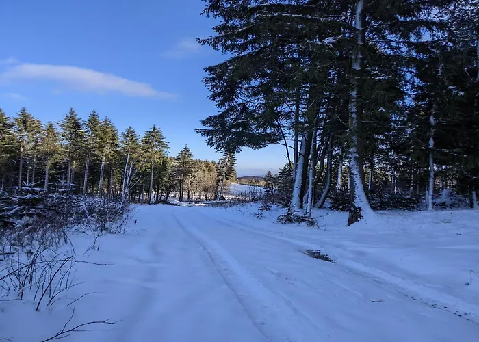 Appartement Charmantes Feriendomizil In *