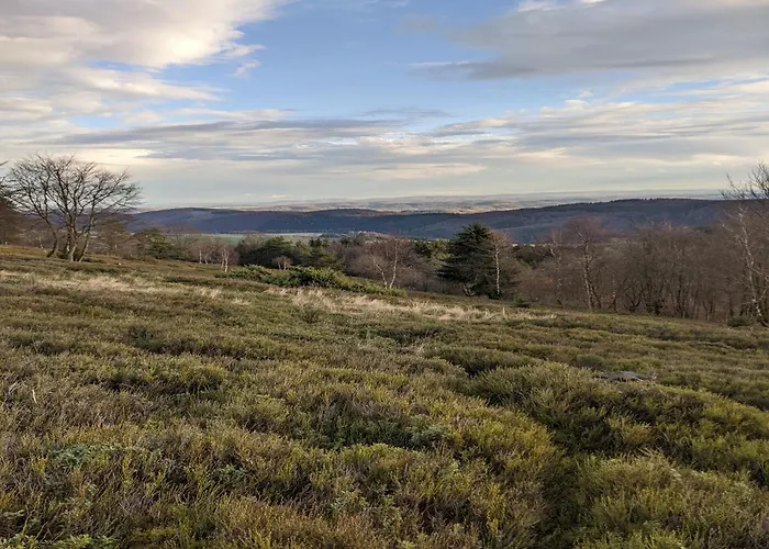 Charmantes Feriendomizil In Appartement Medebach